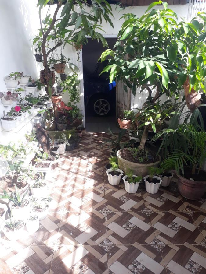 Bumimi Homestay Painan Eksteriør billede